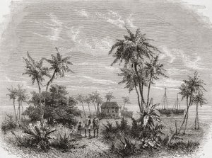 David Livingstone