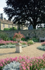 View of the garden