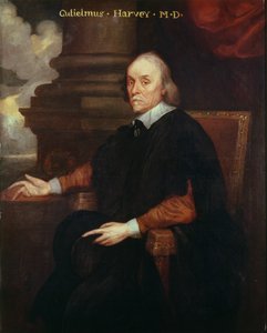 William Harvey (1578-1657) Royal Physician, 17th Century