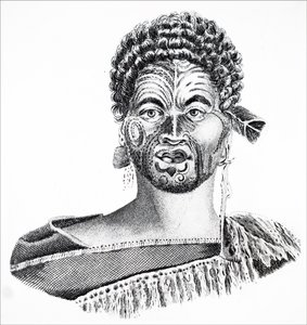 A Maori Chieftain by Unbekannt