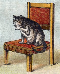 A cat on a chair. Engraving in "Alphabet de ma petite fille". Bernardin-Bechet and Fils, bookseller-publishers, Paris, around 1895