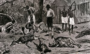 A great hunting day! 1900 by Unbekannter Künstler
