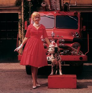 A Young Woman in a Red Dress by Unbekannter Künstler
