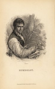 Alexander von Humboldt, German explorer, naturalist and botanist by Unbekannt