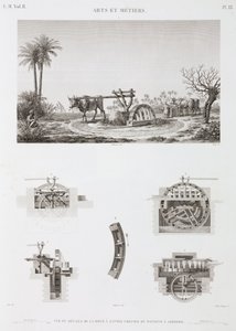 Animal-powered Irrigation, Egypt, c.1798 by Unbekannt