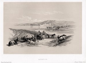 Ashdod by David by Unbekannter Künstler