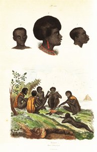 Australian Aborigines and Heads of Natives of Waigeo, West Papua by Unbekannter Künstler