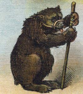 Bear