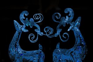 Blue Reindeer, 2017