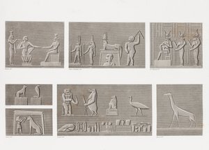Book: Description of Egypt by Unbekannt
