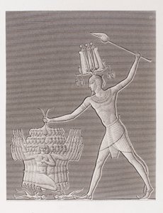 Book: Description of Egypt by Unbekannt