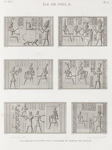 Book: Description of Egypt by Unbekannt