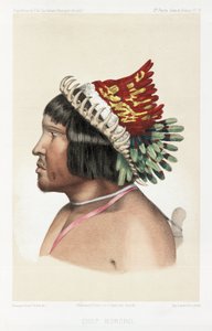 Bororo Chief, South America, c. 1843-1847