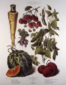 Botanical Board