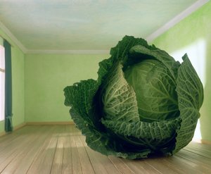 Cabbage (after Magritte)