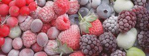 Chilled Berries by Unbekannter Künstler