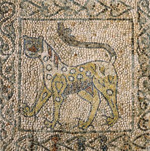 Church of Saint John Evangelist, Fourth Crusade, Fragments of mosaic floors representing spotted panther, Ravenna, Emilia-Romagna, Italy by William M. Timlin