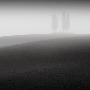Conference, Tuscany, Italy, 2015 by Leopold Blonder
