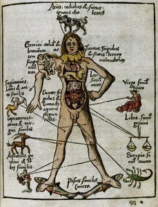 Cosmography 16th century: the zodiacal man by Unbekannt