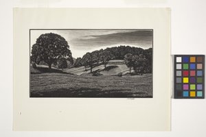 Country Scene by Unbekannter Künstler