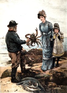Crab Fishing on the English Coast
