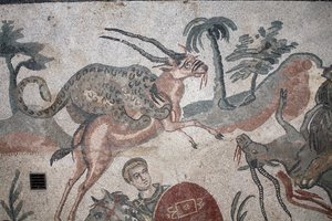 Detail of the great hunt mosaic. A leopard attacking a gazelle. 3rd - 4th century. Roman Villa of the Casale, Sicily. UNESCO site. by William M. Timlin