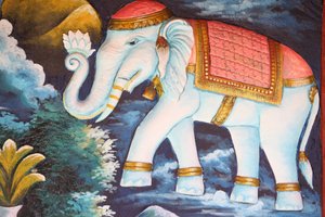 Devoted Elephant, Siem Reap, Cambodia by Unbekannt