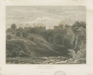 Dudley Castle by Unbekannt