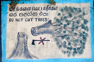 Environmental Protection; Painted Sign; 