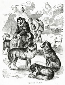 Esquimaux and Dogs. 1902