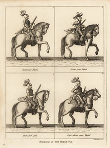 Exercise of the horse by Unbekannt