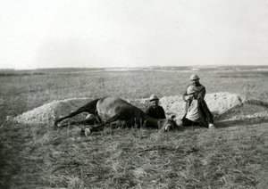 First World War 14-18 (1914-1918): three French soldiers bury a dead horse by Unbekannter Künstler