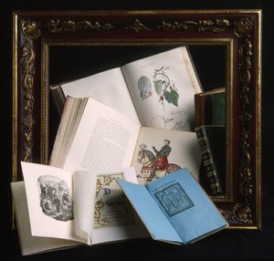 Frame in lacquered wood burgundy color and decorations with embossed motifs of gold, late 19th century. Various open books: anatomical atlas with hand coloured boards
