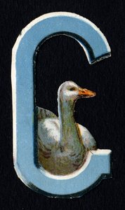 G like Goose. Beetle decoupis on the theme of animals. Engraving. Series of 26 waffle chromolithographs of English origin. End of the 19th century