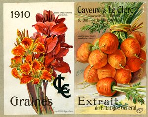 Seeds by Unbekannter Künstler
