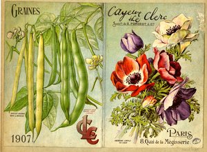 Seeds by Unbekannter Künstler