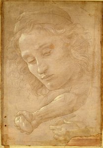 Head of a Youth, Drawing from a Page of 