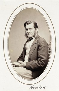 Huxley, c. 1865 by Unbekannt