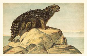 Hylaeosaurus Armatus, Extinct Herbivorous Ankylosaurian Dinosaur by Unbekannter Künstler