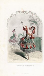 The pomegranate flower fairy dances - Etching by Charles Geoffroy, based on an illustration by Jean Ignace Isidore Gerard for Les fleurs animees by Unbekannter Künstler