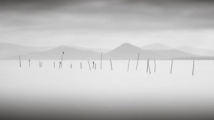 Lake Trasimeno, Umbria, Italy, 2015 by Leopold Blonder