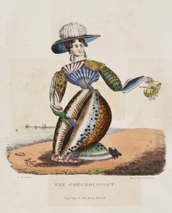 The conchologist, circa 1831