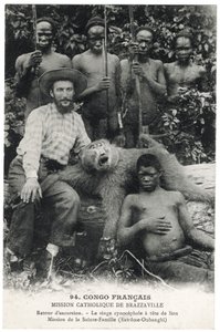 The Cynocephalus Monkey with a Lion