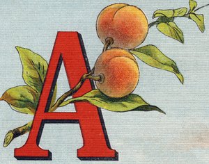 Letter A: apricot