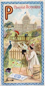 Letter P: palace, pavilion, umbrella, photographer, bridge, fishing, peacock, pensee. Engraving of the Alphabet edited by Chocolat Suchard, beginning of the 20th century by Unbekannt