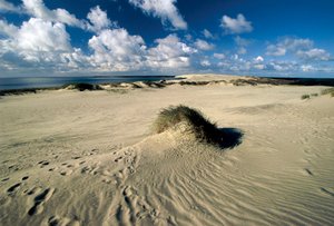 Moving sand dunes called Prussian Sahara, Curonian Spit, Nida