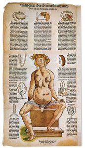 Anatomical board describing the female anatomy from a Renaissance medical treatise