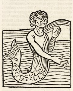 Merman