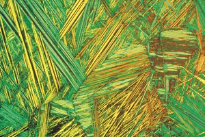Micrographs (Light) Aluminium bronze, light micrograph