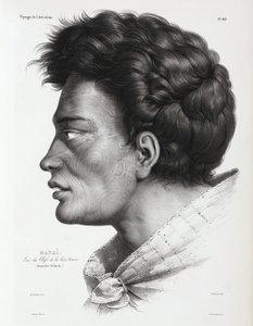 Natai, Maori chief from Bream Bay, New Zealand by Unbekannt